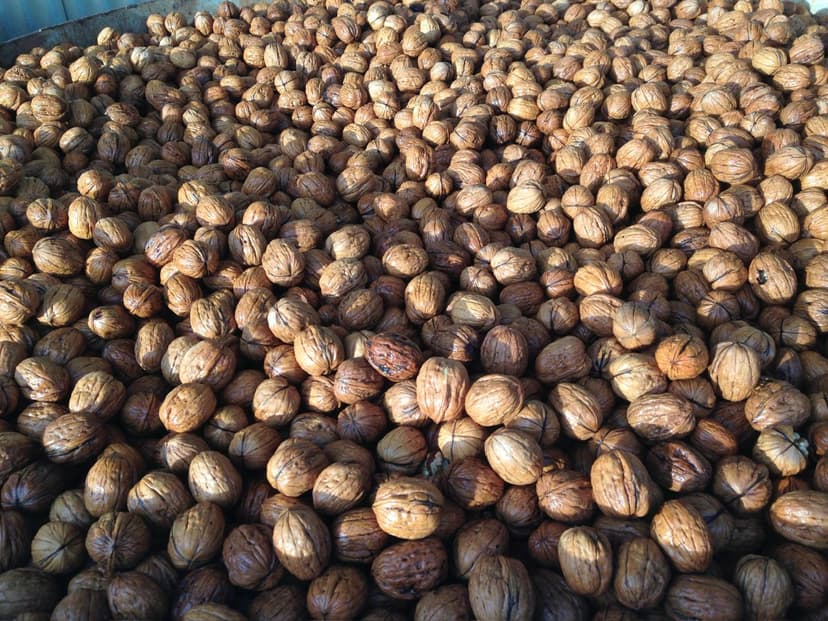 Walnut Granola